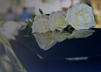 White roses over a black coffin