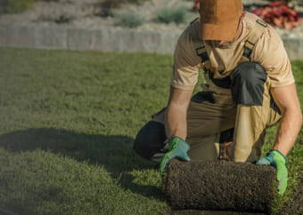 Man placing grass on a yard