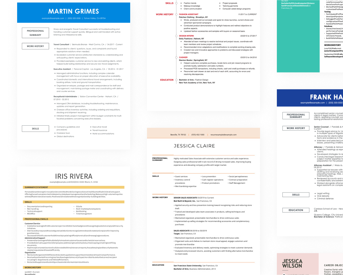 Custom assistant accountant Resume